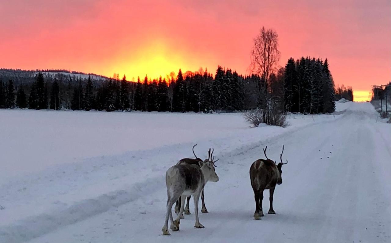 Kaetkae Lake Lodge Tervola Dış mekan fotoğraf